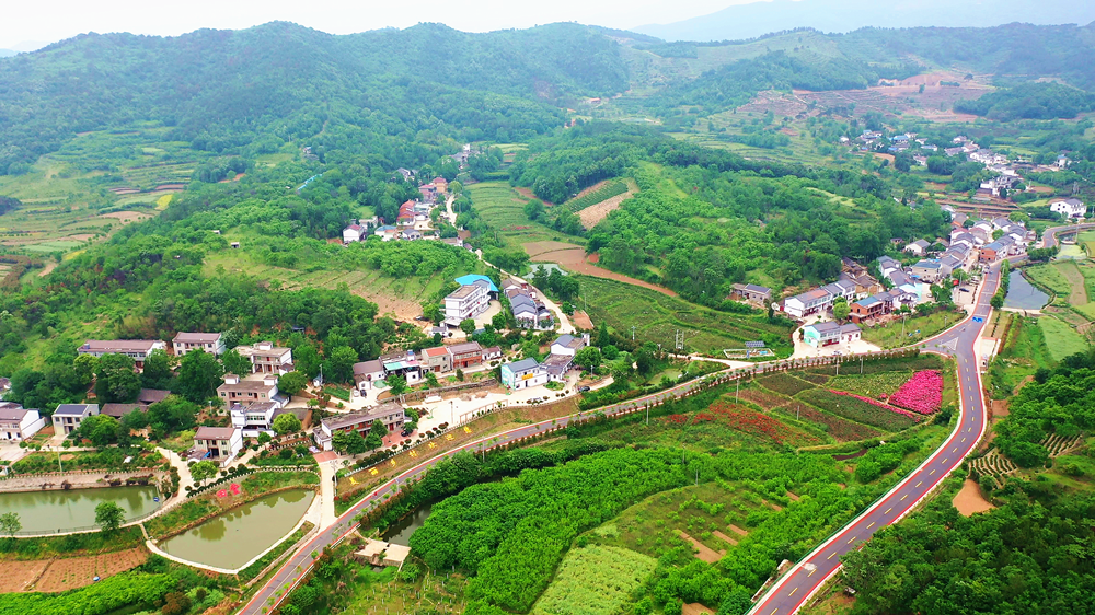 优秀孝昌县乡村振兴战略实绩考核获省委省政府通报表扬