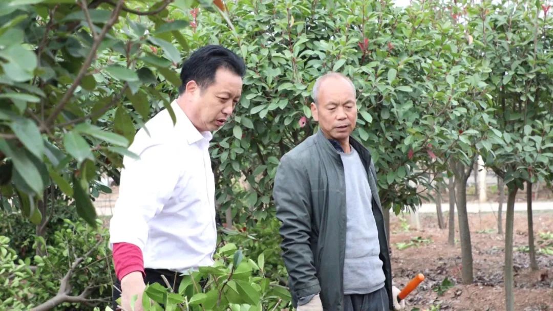 孝昌王店镇新岗村免费的午餐格外香