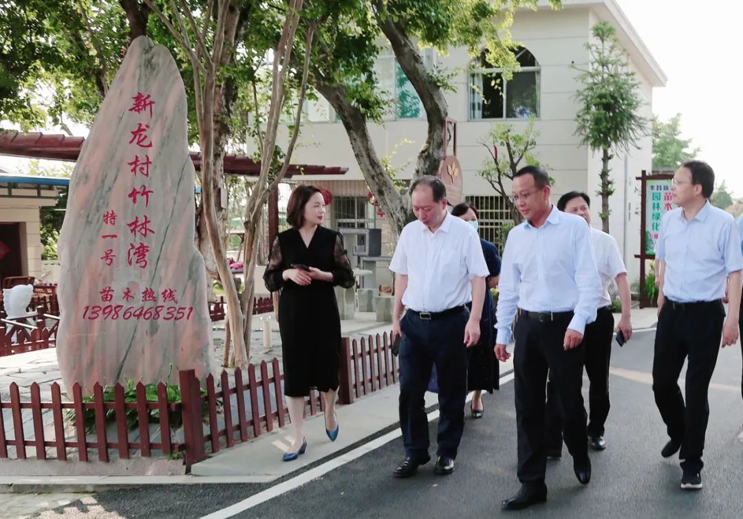 调研期间,王彬一行还到周巷镇新龙村进行实地调研,了解我县乡村人才
