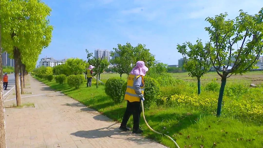 孝昌园林工人用汗水浇灌城市绿荫