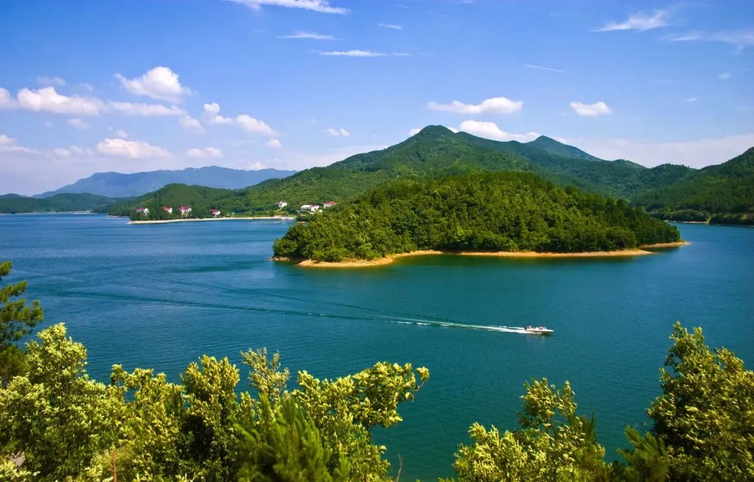 湖北省森林城市孝昌喜提新名片