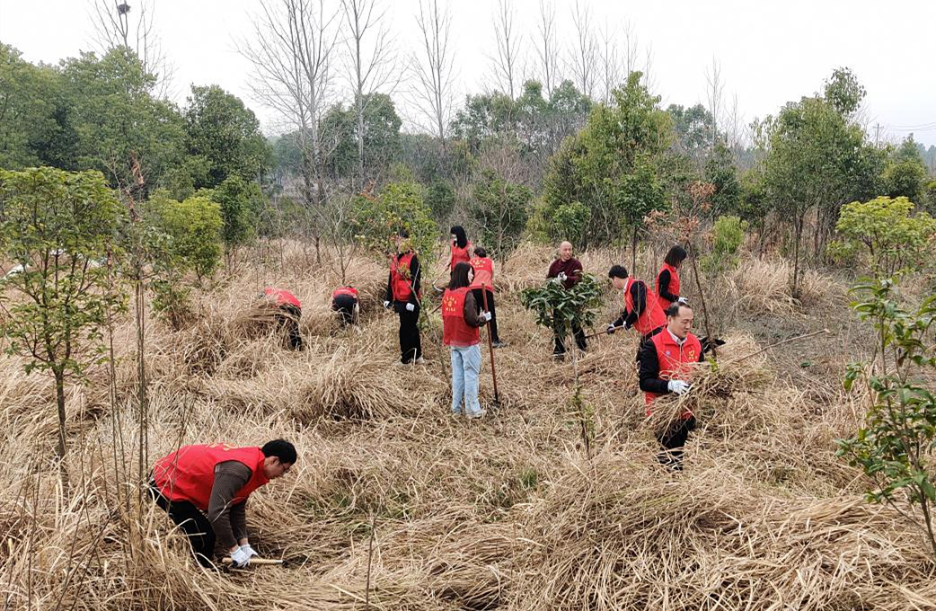 孝昌花西乡:弘扬雷锋精神 践行初心使命_云上孝昌