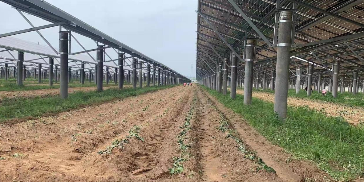 孝昌金博小河80mw光伏电站项目位于孝昌县小河镇河山村,占用地面积约