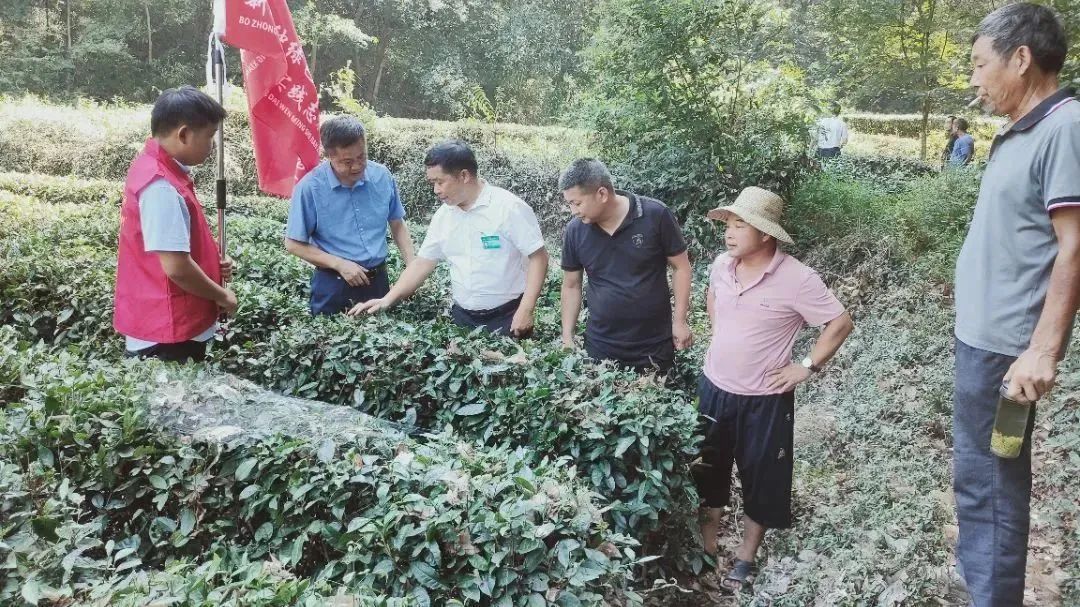 4.jpg 图片