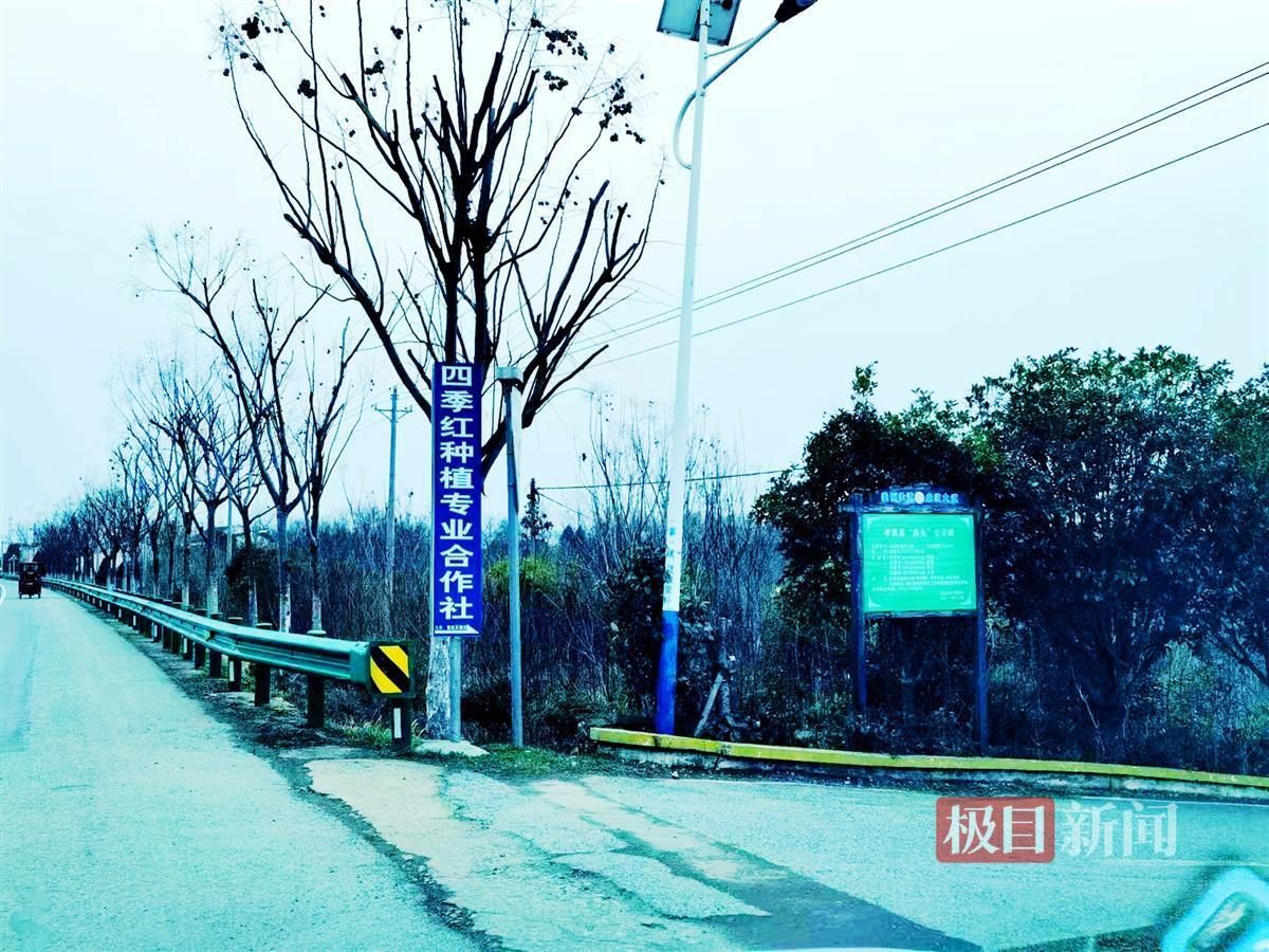 四季红农业合作社.jpg