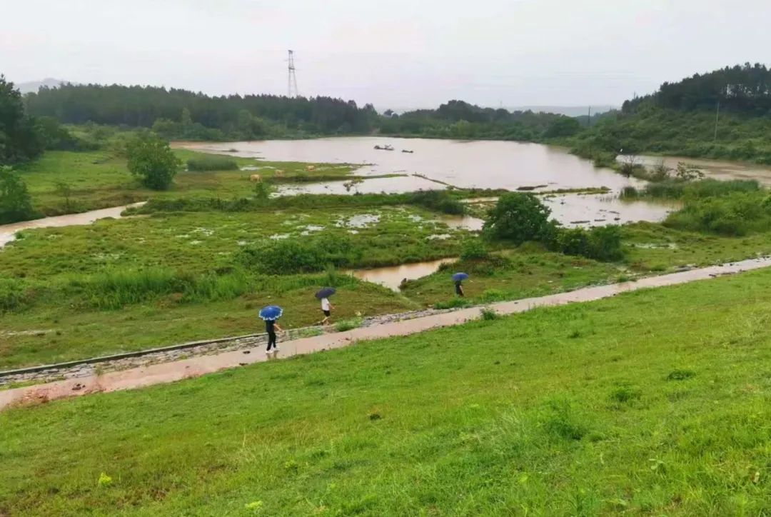 孝感孝昌:积极应对强降雨 筑牢防汛安全堤