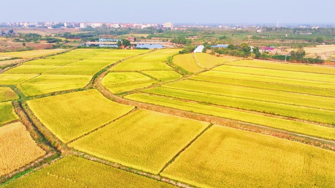 孝感孝昌：小流域综合治理 治出水清岸绿好“钱”景