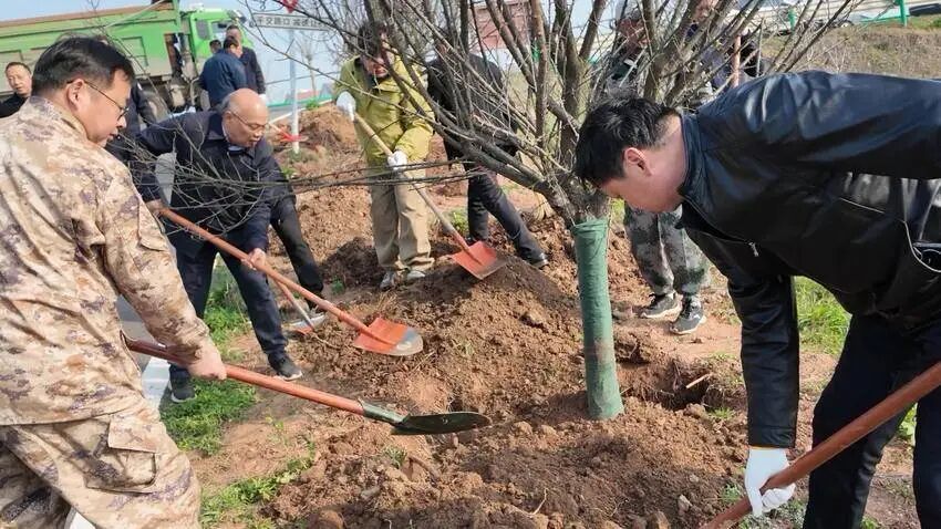 孝昌小河：春风拂沃野，植绿正当时.doc