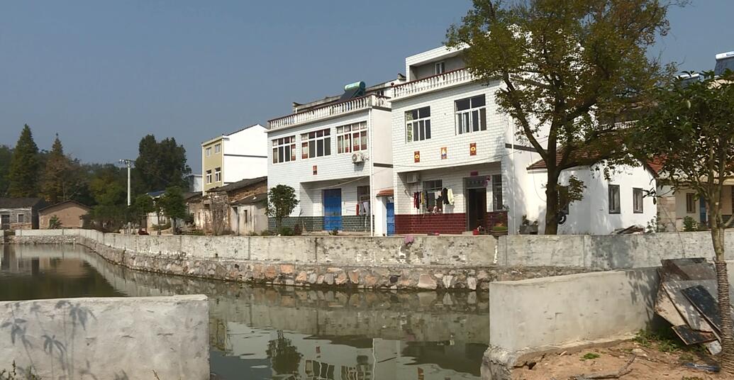 大悟河口镇众人拾柴火焰高众筹倍奖家乡美