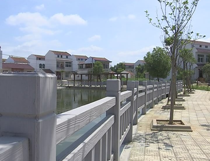 云梦道桥镇田园风光富美人家