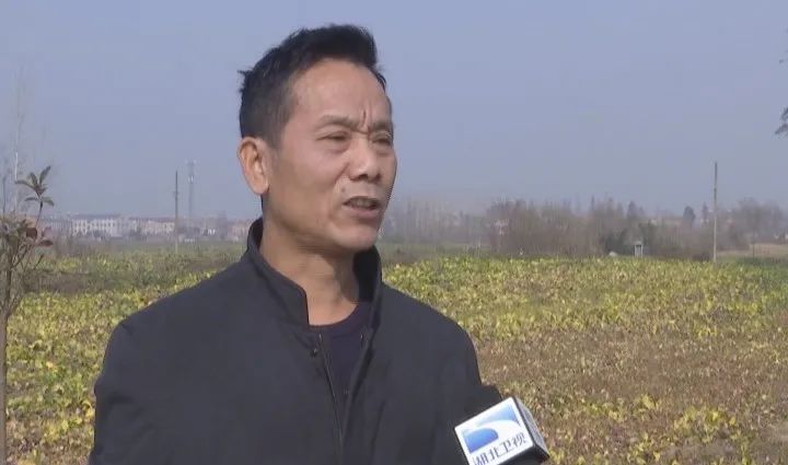 【孝感市云梦县隔蒲潭镇陈刘村村支部书记 刘春发】以前我们陈刘村以