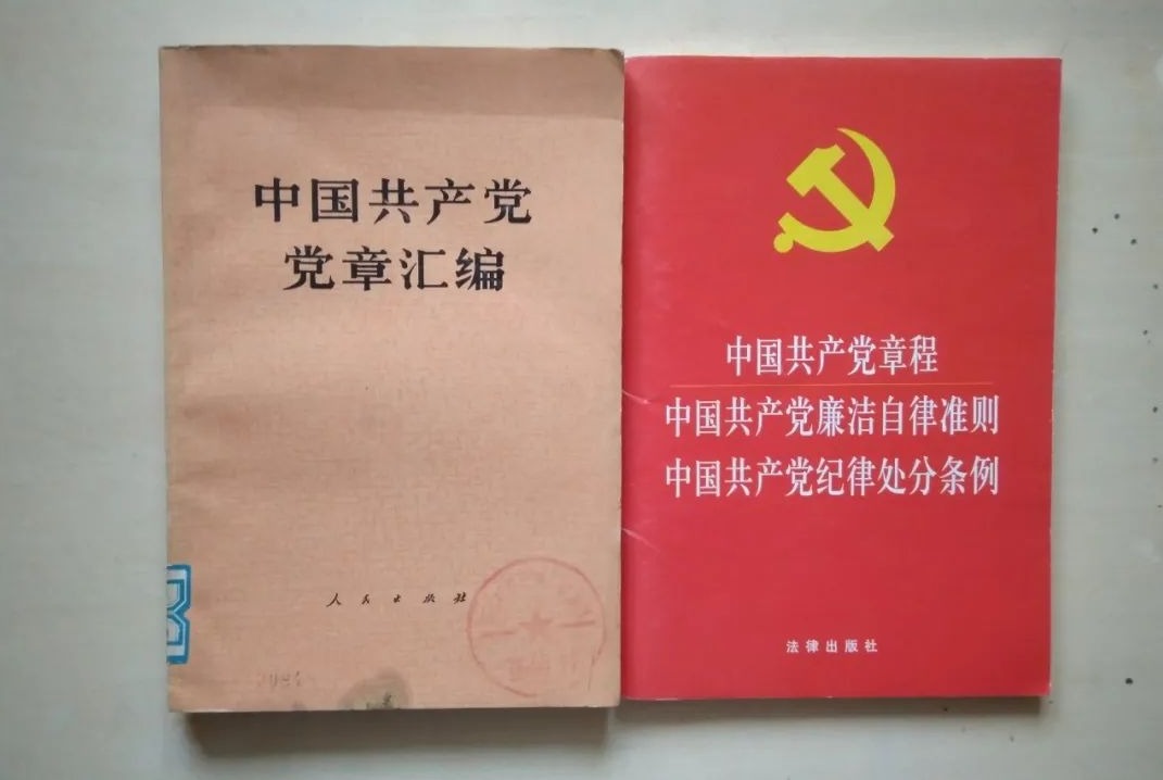 林栋:收藏党章 庆祝建党100周年_云上云梦