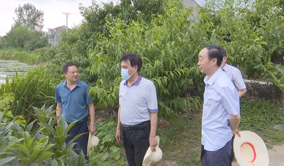 万忠鑫一行先后深入到吴铺镇英雄村,隔蒲潭镇佰智昂公司,实地了解乡村