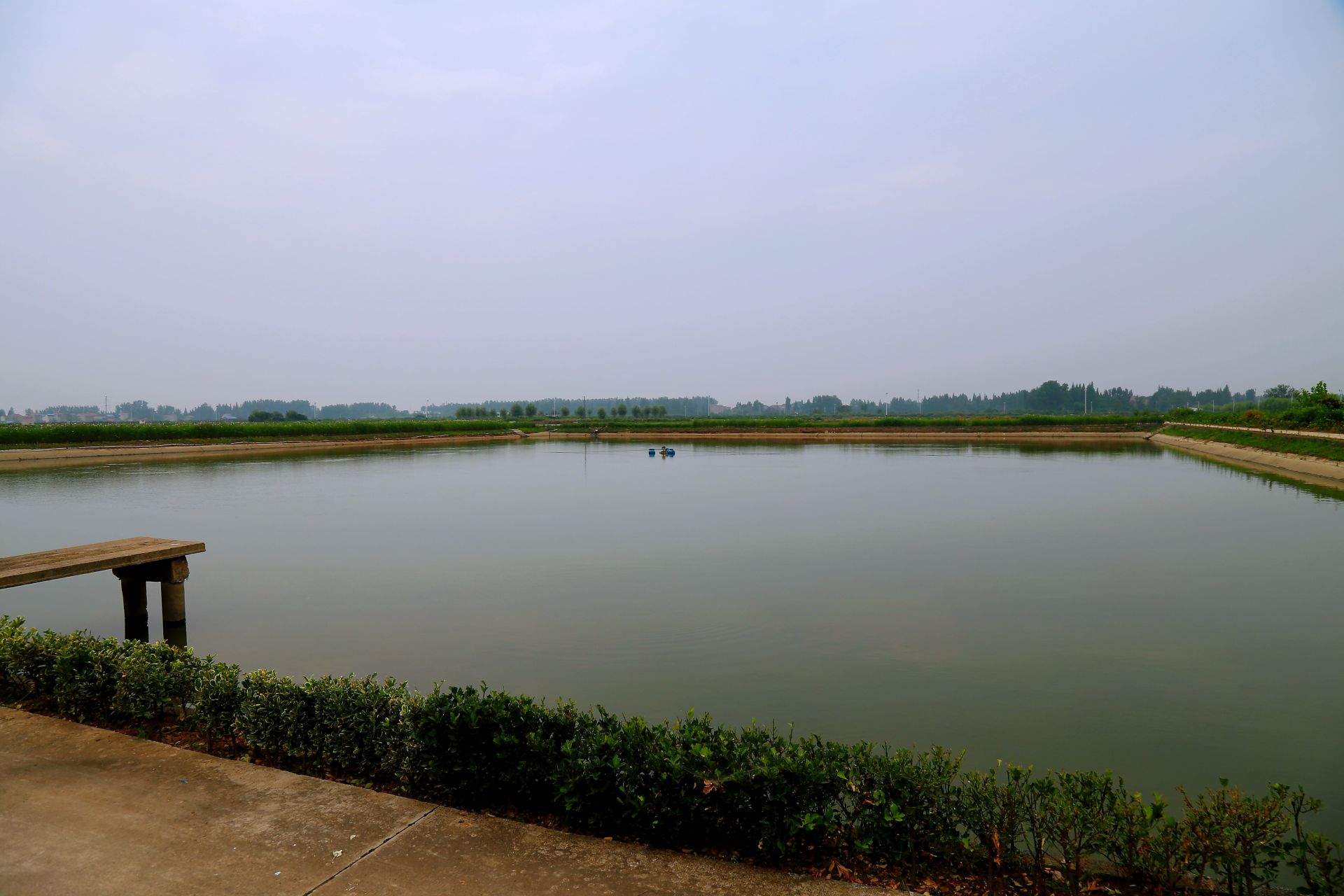 云梦北湖垸打造科技创新基地助力乡村振兴