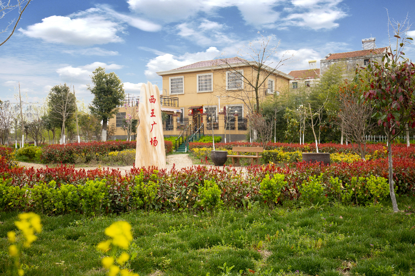 云梦城关镇西王村入选全国乡村治理示范村