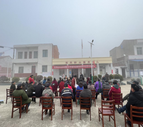 乡村振兴开新局云梦下辛店镇为乡村振兴插上科技翅膀