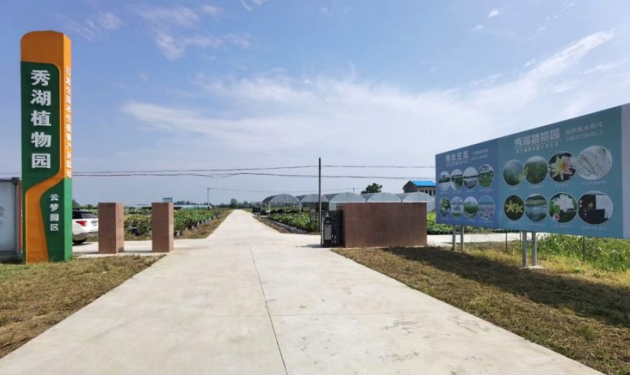 乡村振兴云梦实践下辛店镇秀湖水生花海农文旅融合迸发无限活力