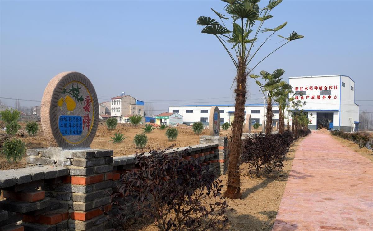 喜讯云梦县沙河乡两个村获2022年省级生态村称号