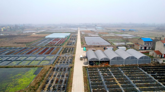 美丽乡村下辛店镇这个省级生态乡镇美在哪