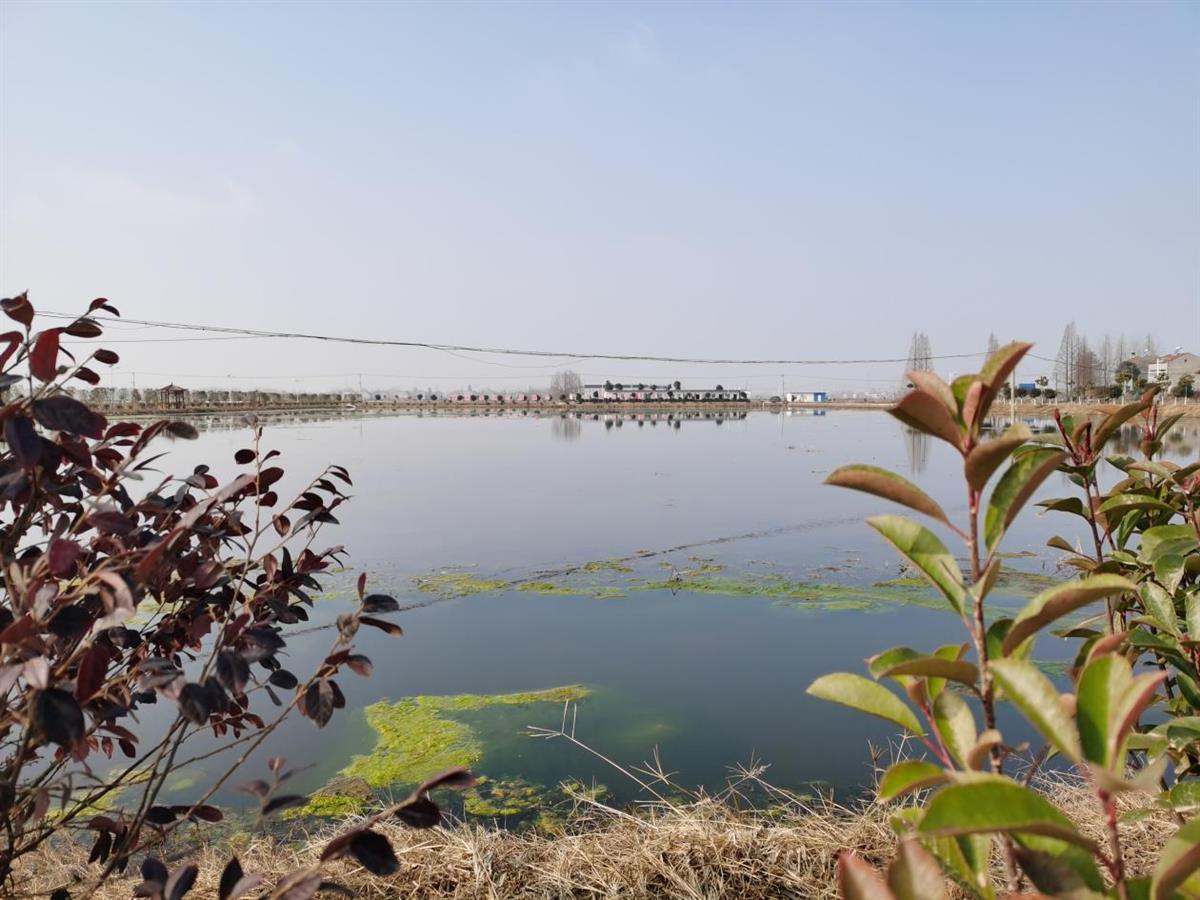 喜讯云梦县沙河乡两个村获2022年省级生态村称号