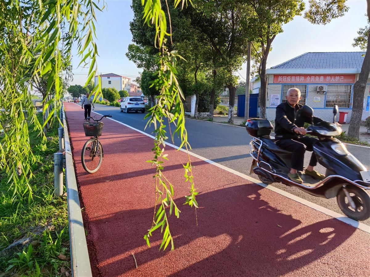 美丽乡村组图乡村道路颜值高