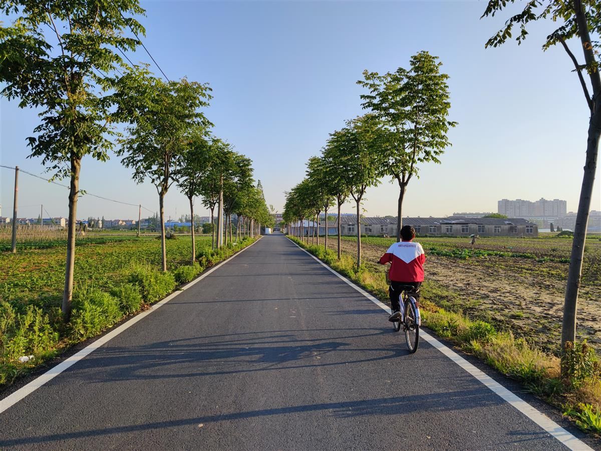 美丽乡村组图乡村道路颜值高
