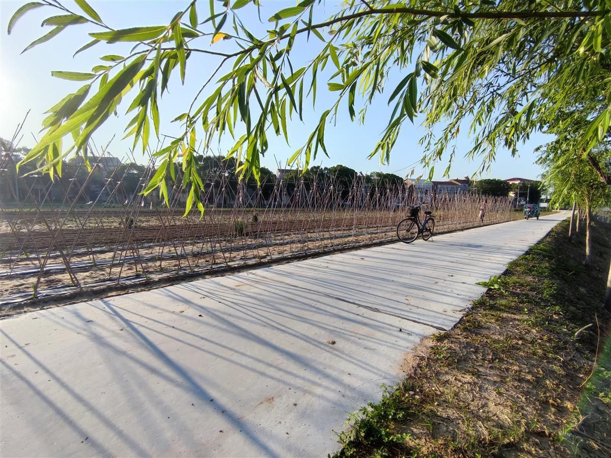 美丽乡村组图乡村道路颜值高