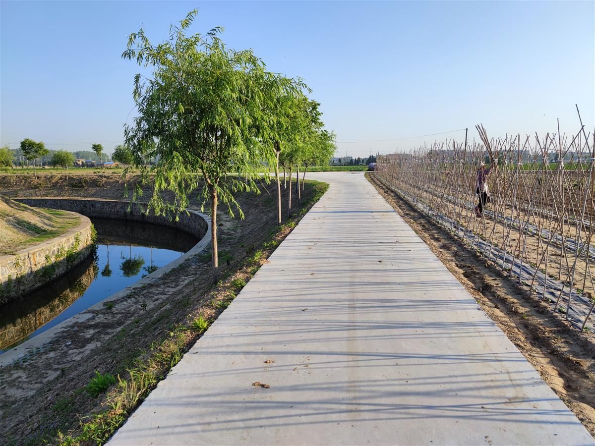 5月6日,雲夢縣城關鎮白合,肖李,西王等村的鄉村道路一步一景.