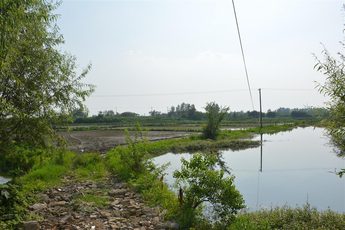 云梦县瑞鹤农业发展有限公司是吴铺镇2022年5月签约的农业企业,在该镇