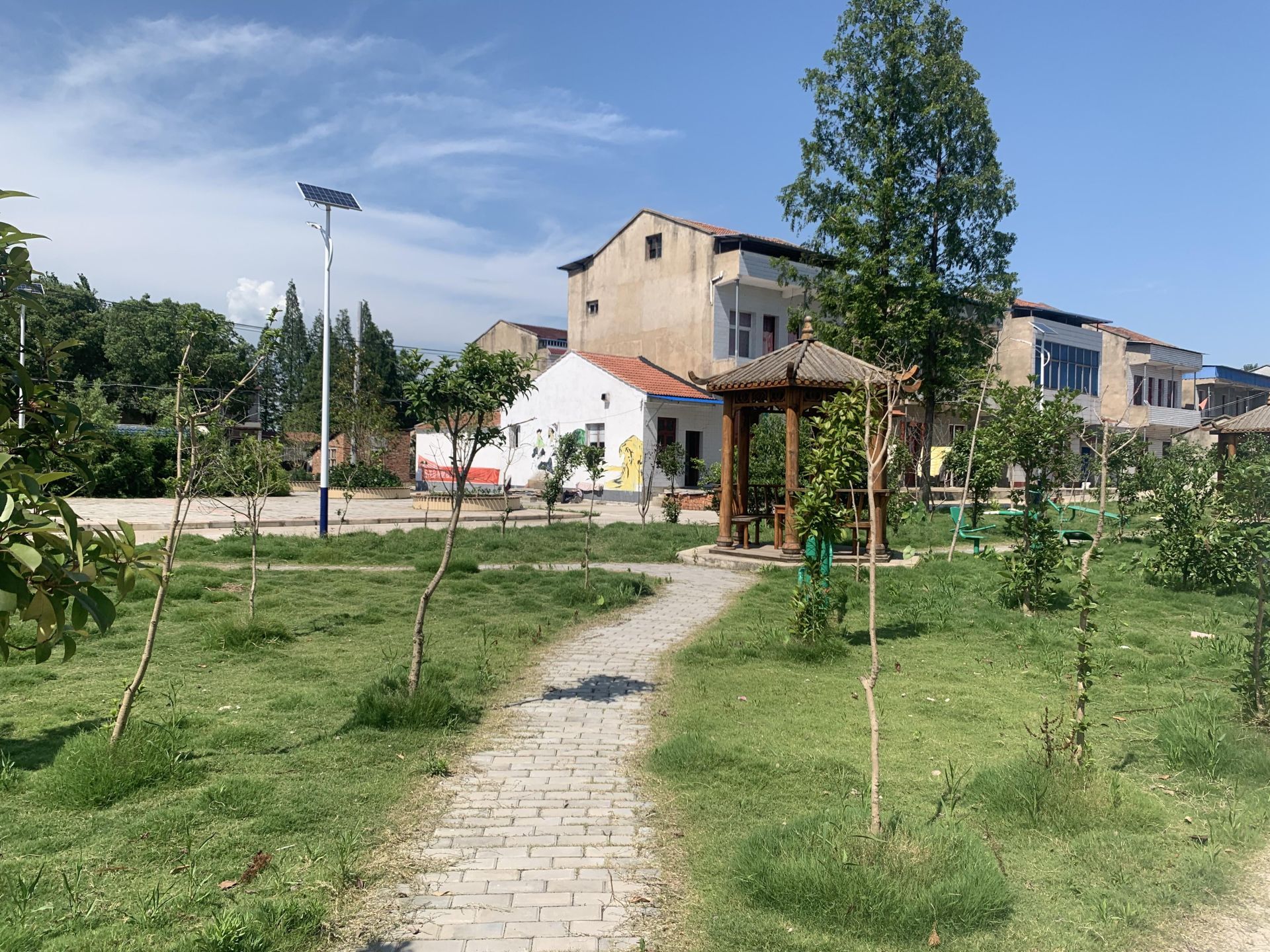 道桥镇开展上半年人居,乡村环境整治综合考核拉练活动_云上云梦