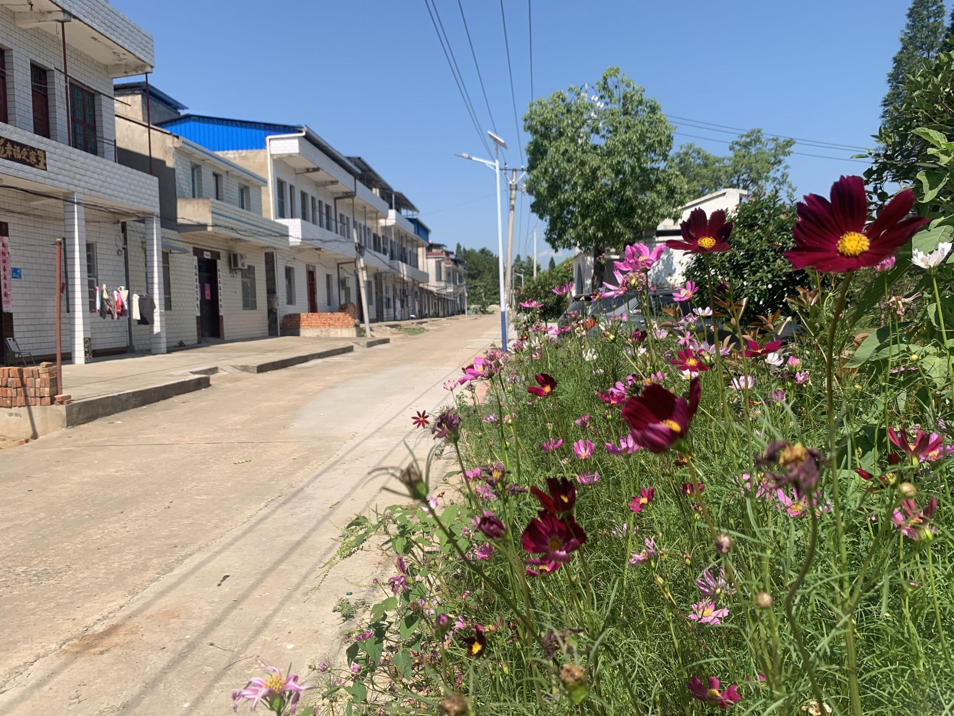 道桥镇开展上半年人居,乡村环境整治综合考核拉练活动_云上云梦