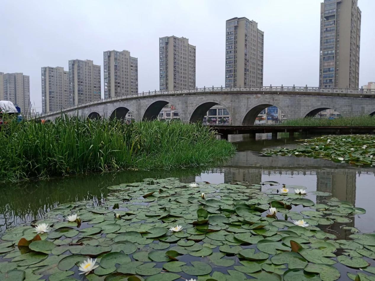 喜报!云梦县城关镇获评"湖北省生态乡镇"