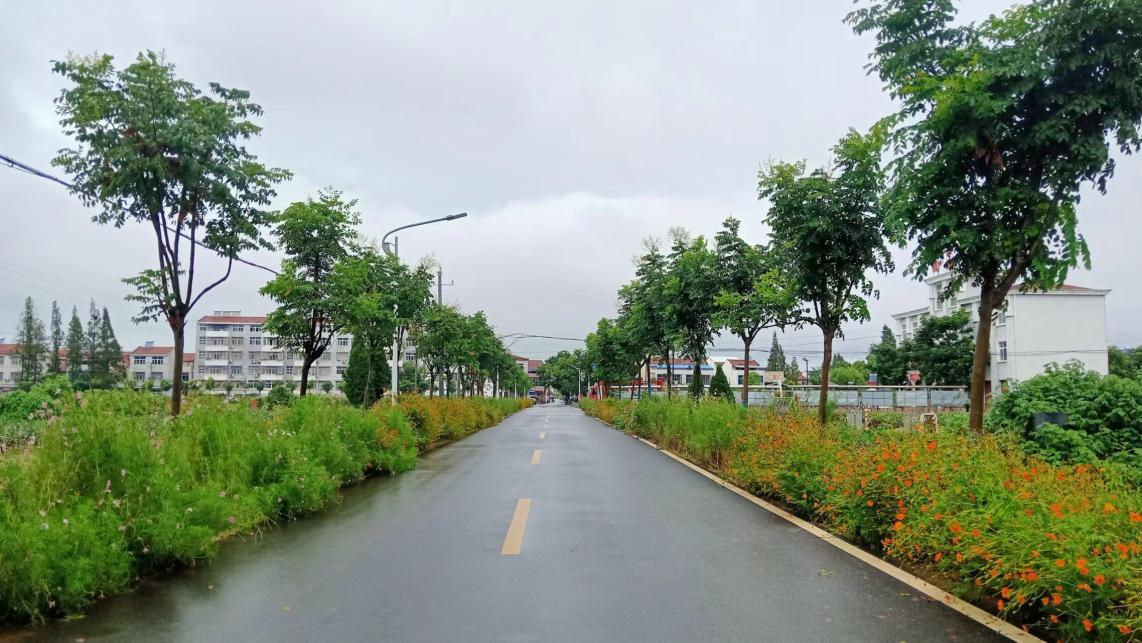 喜报!云梦县城关镇获评"湖北省生态乡镇"