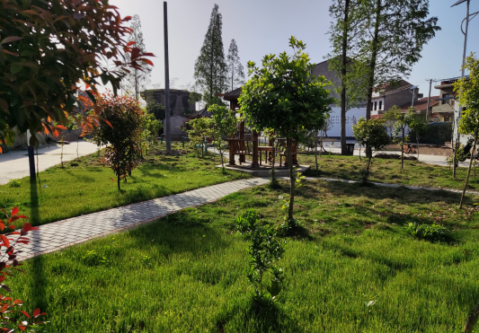 云梦县道桥镇:乡村振兴再出发 "人民公司"绽光芒_云上云梦