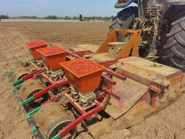 云梦:春来花生播种忙 机械种植助农富_云上云梦