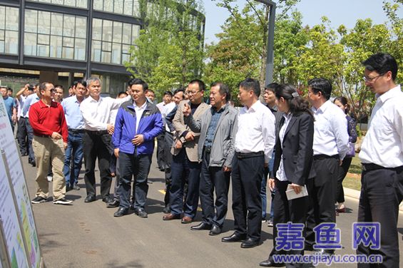 全市春季农业生产现场会在嘉鱼召开