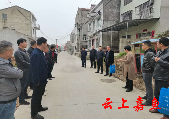 簰洲湾镇以拉练检查促考评_云上嘉鱼