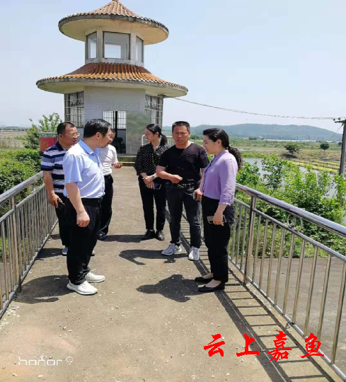 云上嘉鱼报道(通讯员郭霞)5月8日,副县长华红组织县水库防汛指挥部