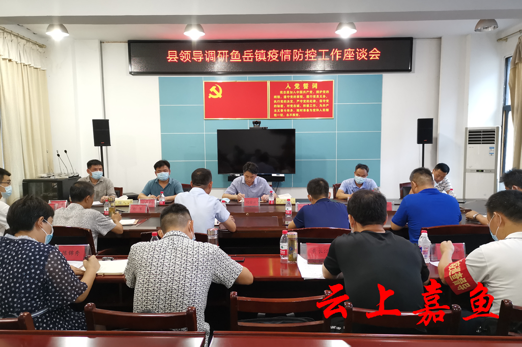 胡金云在鱼岳镇检查疫情防控工作时强调要突出重点科学高效数据精准