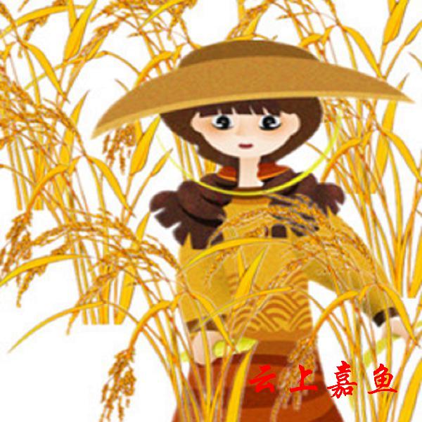 水稻需要付出多少才能变成一粒大米