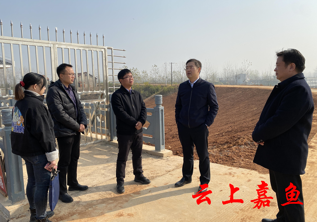 县领导深入簰洲湾镇开展基层党组织调研工作_云上嘉鱼