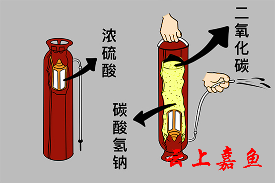 泡沫灭火器结构剖析图图片