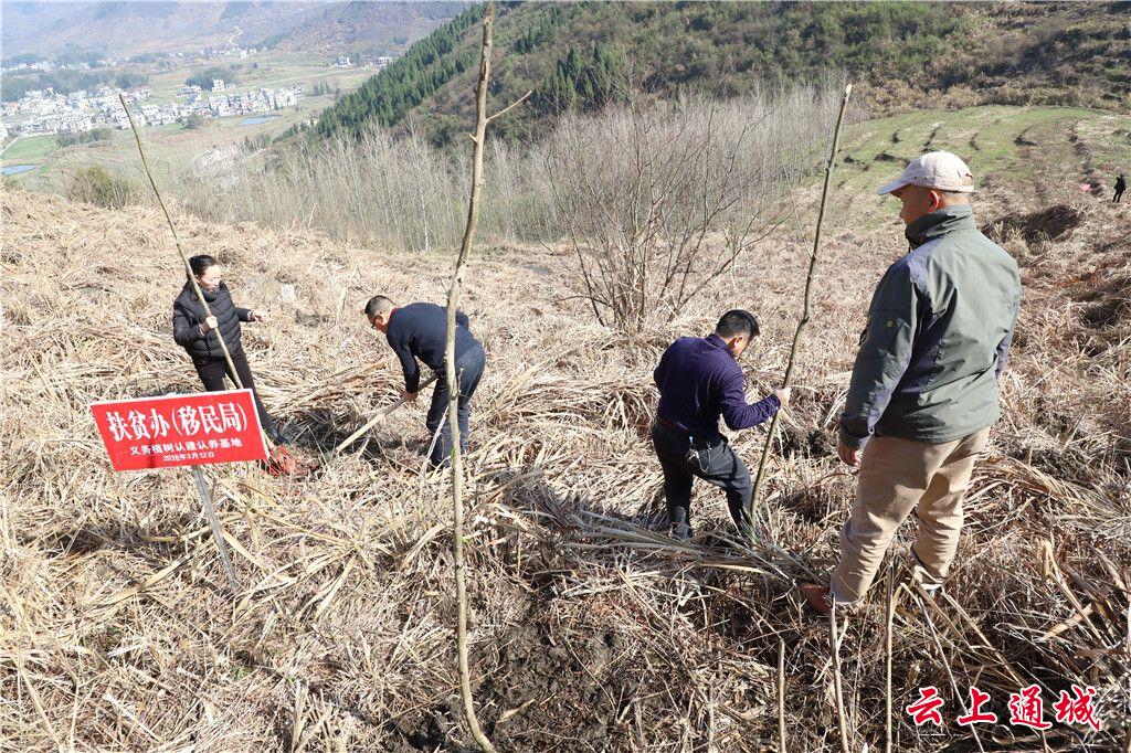 1亩,补植 封山育林5551.5亩,林地清理 封山育林1148.9亩.