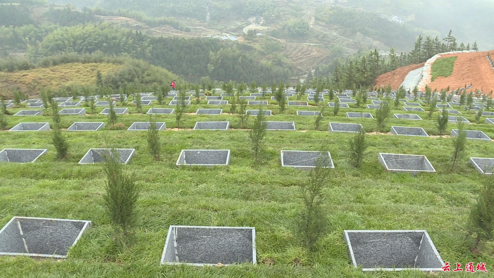 麦市镇金麦村:建设农村公墓 助推殡葬改革