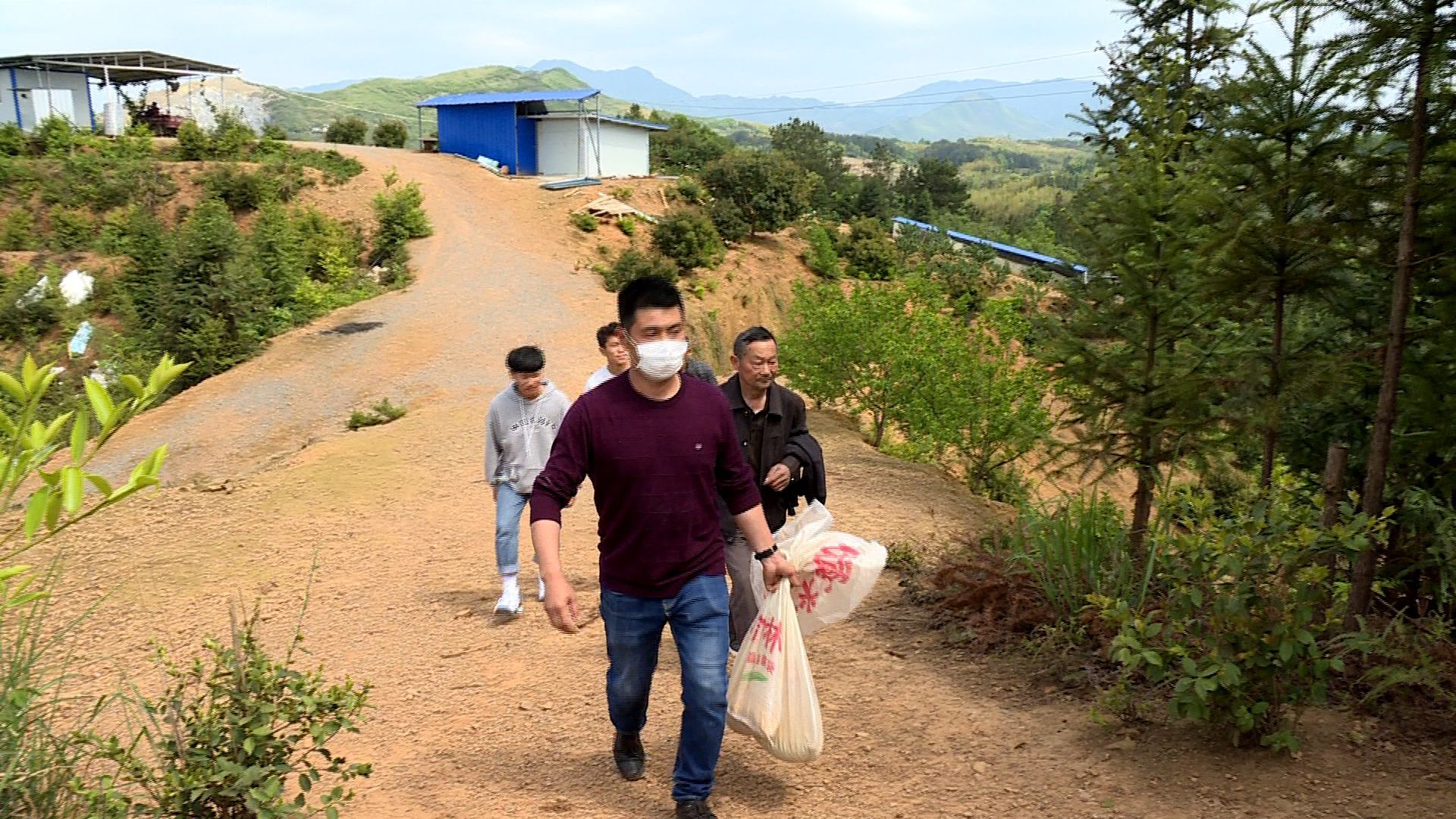 如今郑普雄的土鸡养殖,已成了家乡的一道独特风景,郑普雄的养鸡技术