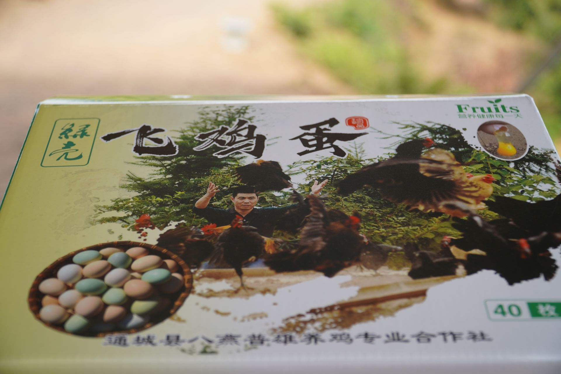 战疫情促农业发展郑普雄养殖生态土鸡啄开致富路