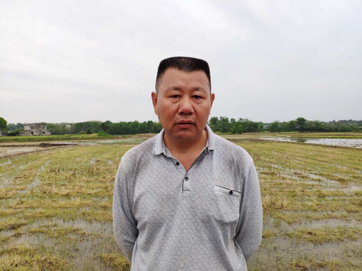 【战疫情促农业发展】周兴旺:父子合力 共唱致富经_长江云 - 湖北网络