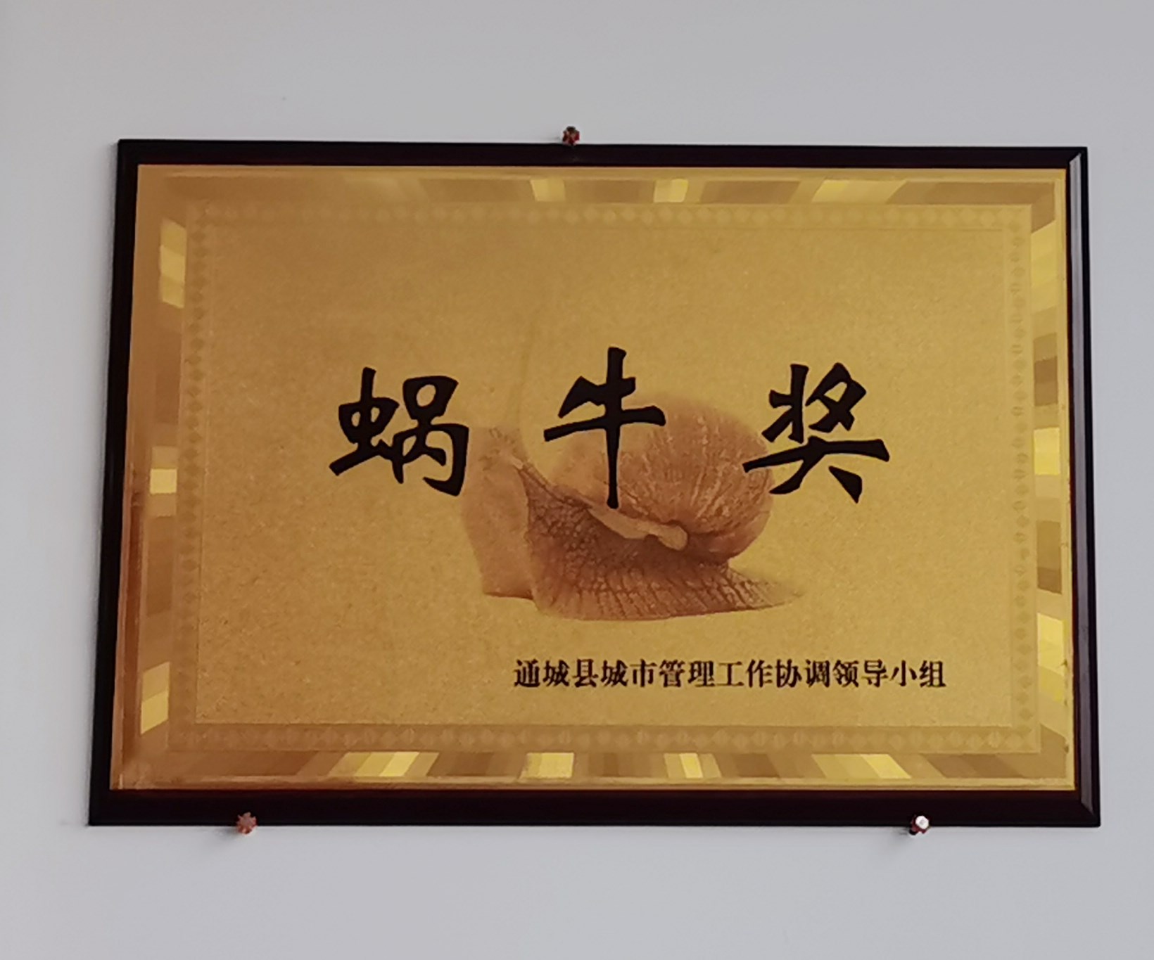 通城县环卫局甩掉蜗牛真抓实干提升环卫工作精细化管理