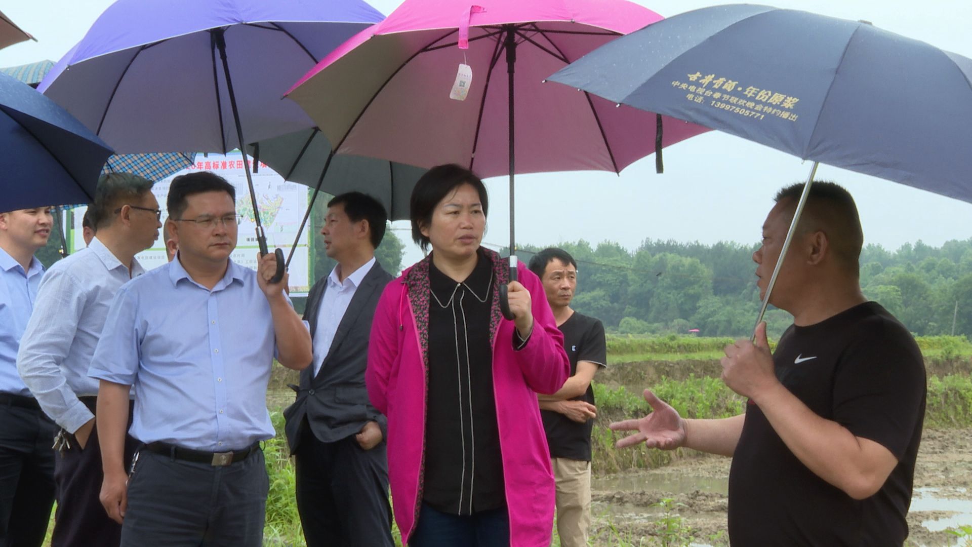 谭海华来通城调研农业产业发展和山洪灾害防治工作