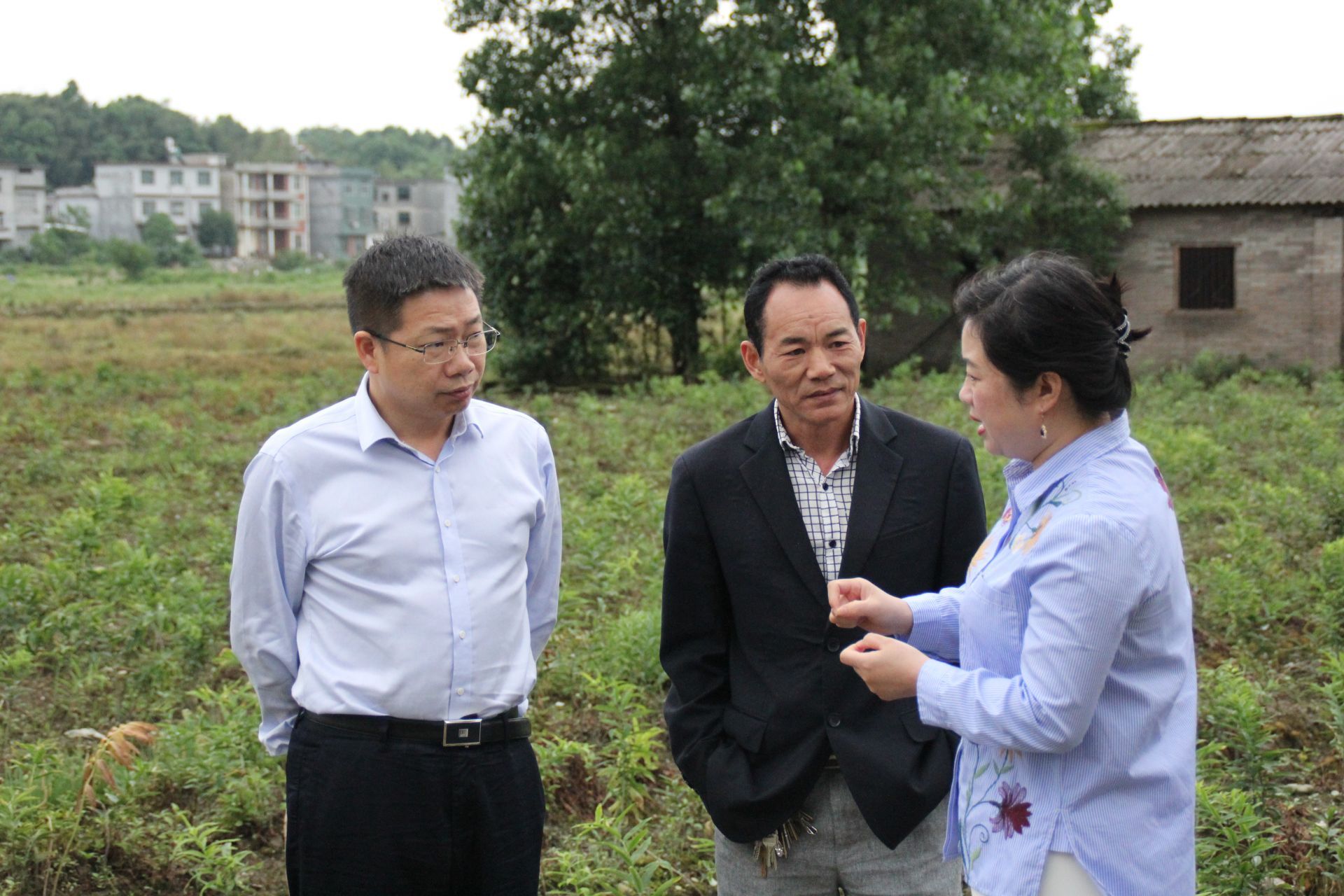 考察組實地踏查了大坪鄉大坪村黃精基地,對基地藥材種植規模,市場銷售